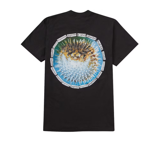 Supreme Blowfish Tee Black