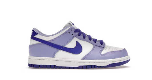 Nike Dunk Low Blueberry (GS)