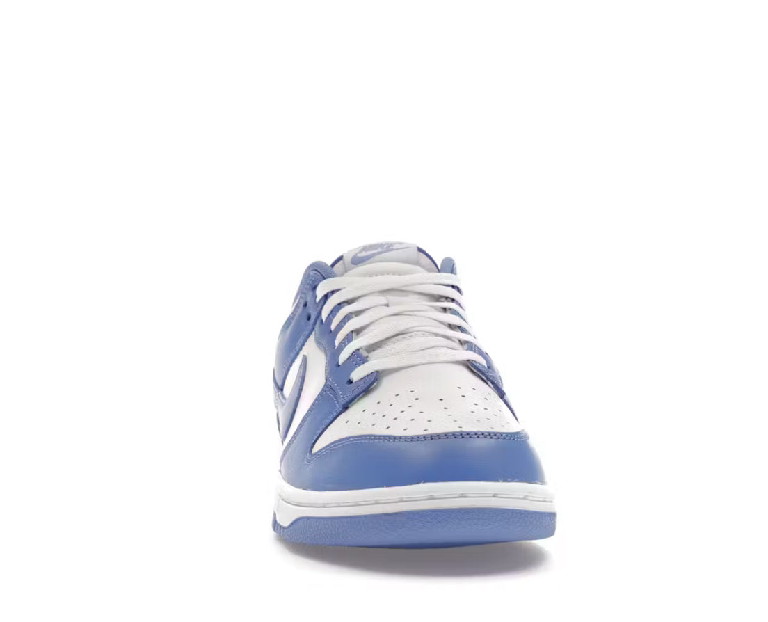 Nike Dunk Low Polar Blue